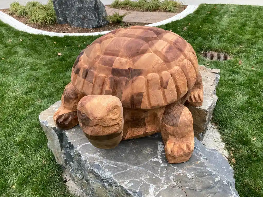 Turtle